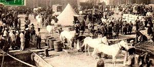 1101- Oran - Embarquement des Troupes pour le Maroc2